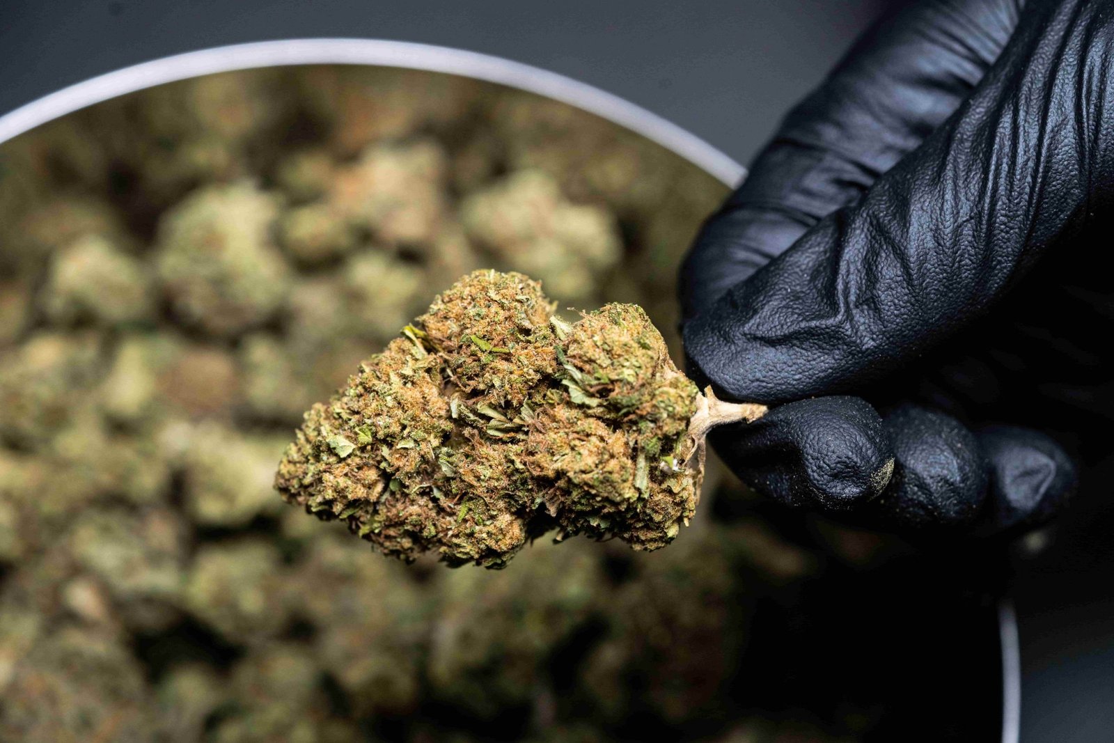 Medical Cannabis Insurance Coverage